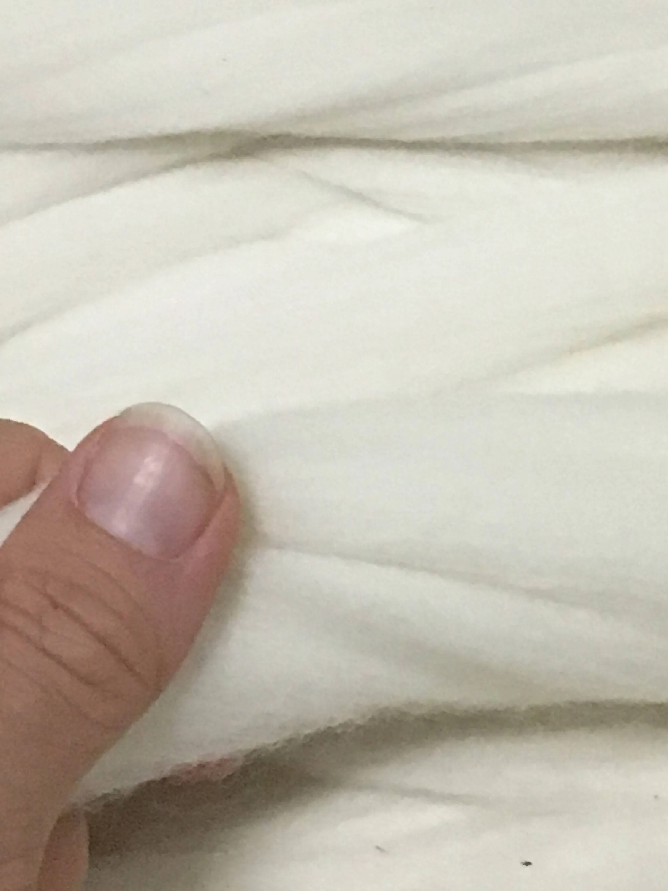 Luxe Merino Wool Roving Fiber