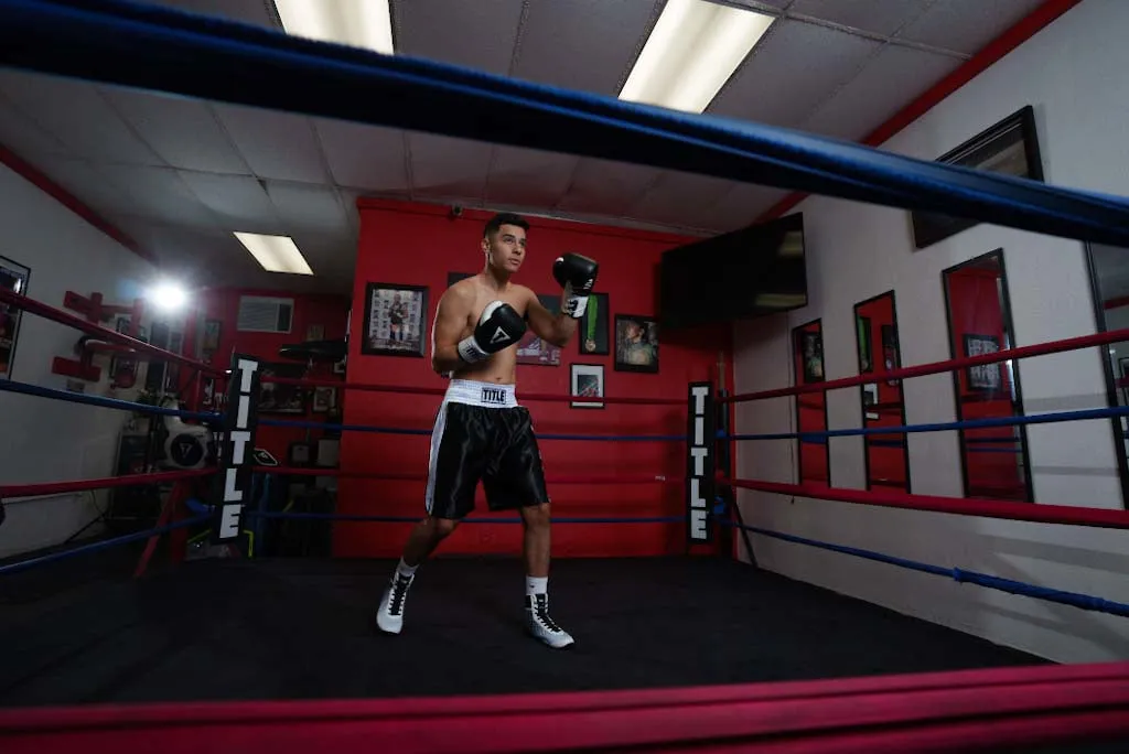 TITLE Boxing Great Official Pro Fight Gloves
